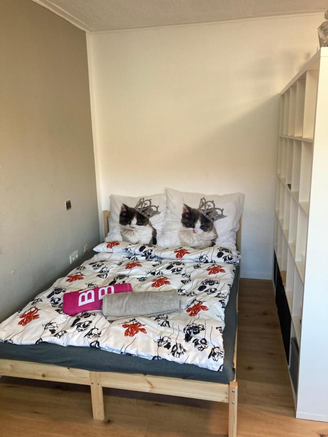 Privatzimmer In Muenchen Zentrum Zewnętrze zdjęcie